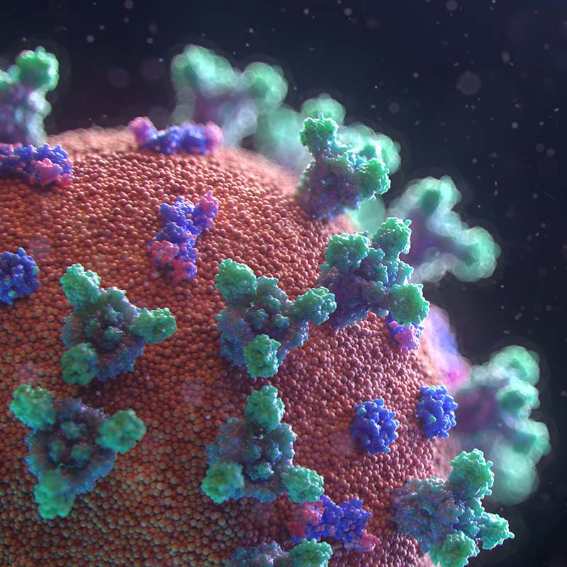 visualisation of covid 19 virus